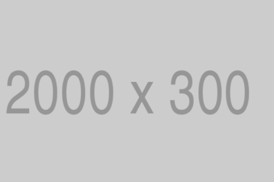2000x300
